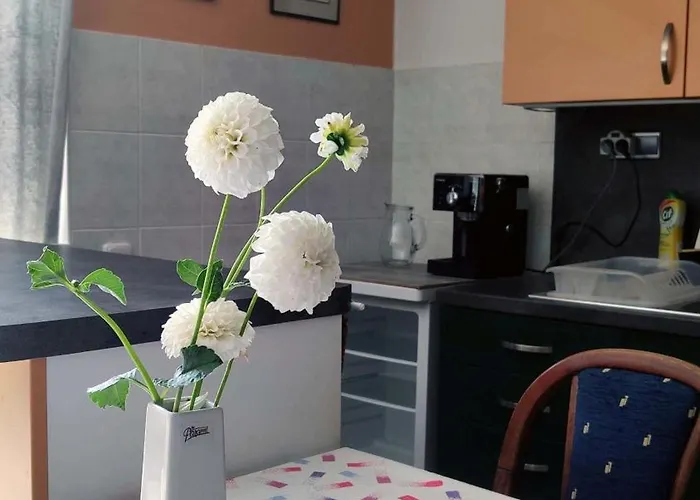 Apartmán Úlehla